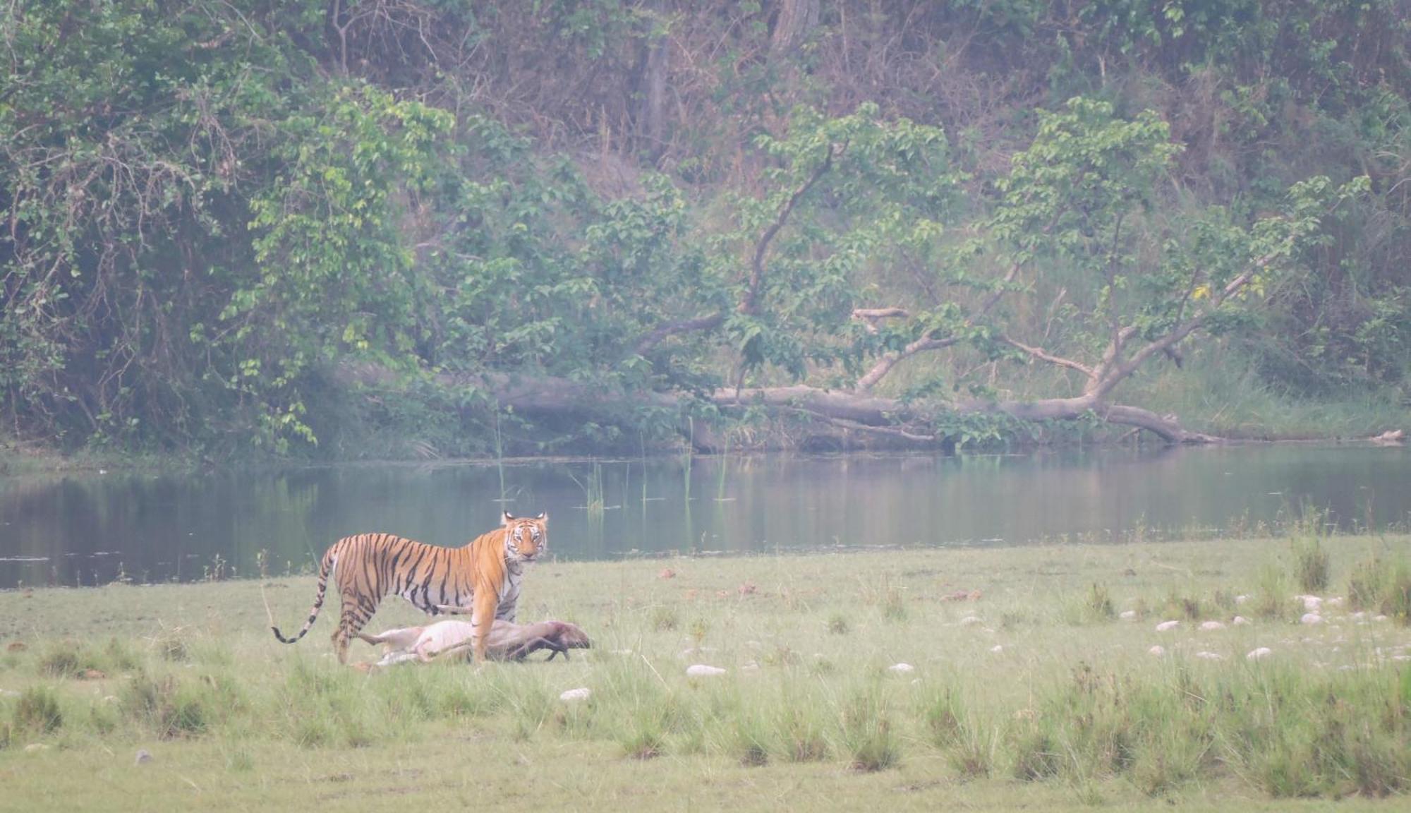 Babai Resort Pvt Ltd Bardiya Dış mekan fotoğraf