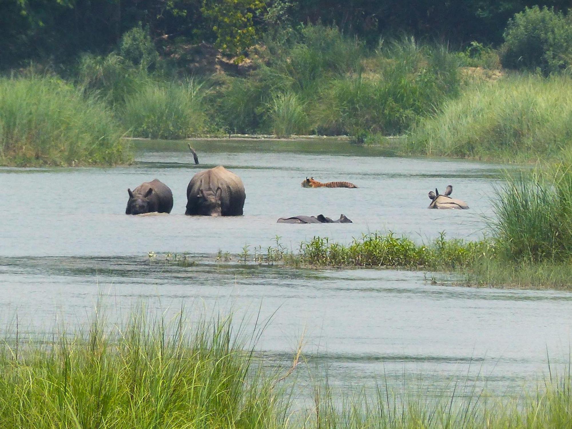 Babai Resort Pvt Ltd Bardiya Dış mekan fotoğraf